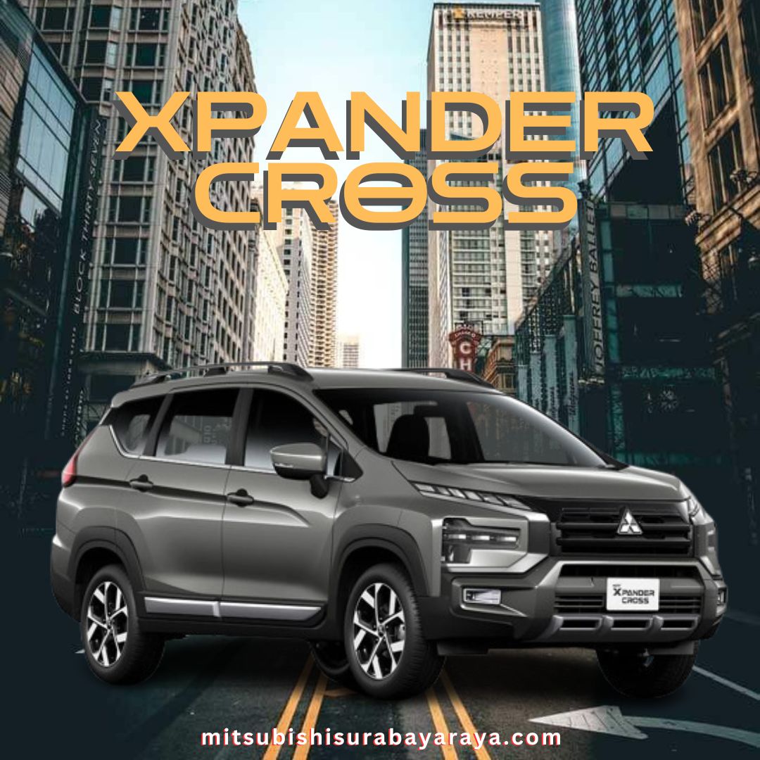 New X Pander Cross